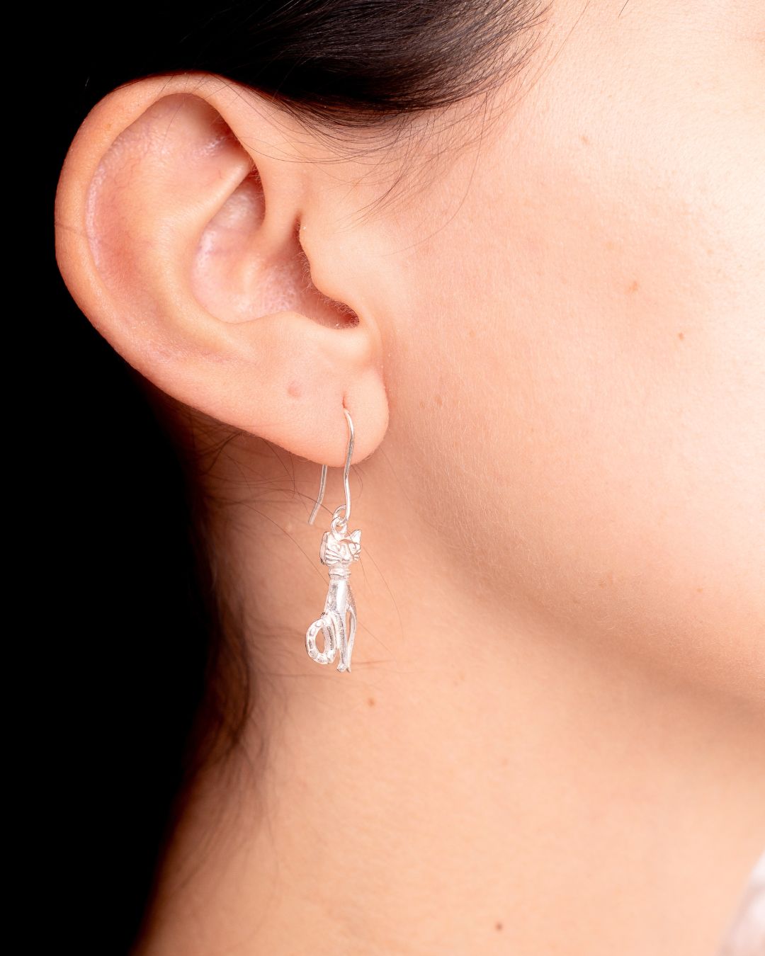 Aros Plata CAT