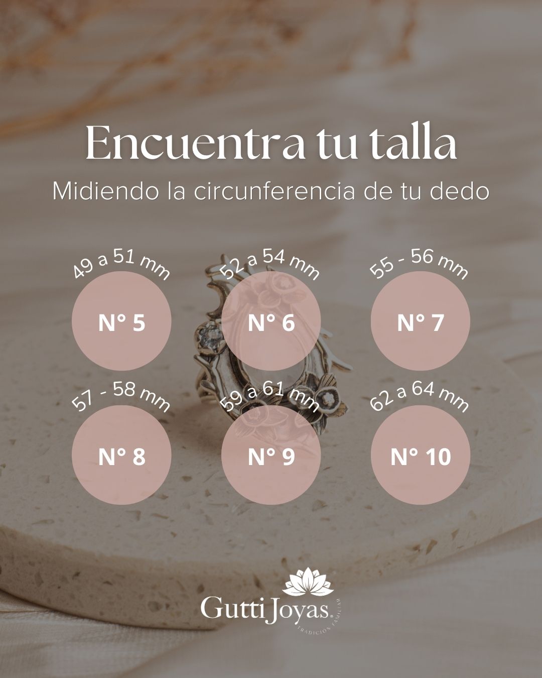 Anillo Plata Eloise | Piedra Luna